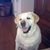 Debra Robertson's profile image