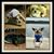 Jodi Scott McCraw's profile image