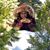 Vanessa Torres's profile image