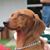 Janice Lease Neeley's profile image