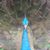 Edwin Williams's profile image