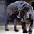Oswaldo Martinez's profile image