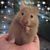 Erin Wilson's profile image