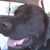 Sharon Clapp Cummings's profile image