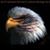 Cliff Clark's profile image