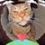 Philip Emma's profile image