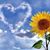 Vickie Gift Bowyer's profile image