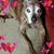Mary Carner's profile image