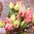 Pam Herston Givens's profile image