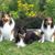 Lynne Seiter Orr's profile image