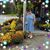 Philomena Darcangelo Rossano's profile image