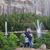 Abdalla Alhmoud's profile image