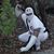 Sean Bassett's profile image