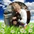 Wanda Collier's profile image