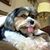Judy Thorp Duckett's profile image