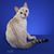 Kathy Shaw's profile image