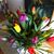 Angelina Wermel's profile image