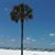 Kathryn Carmack Judkins's profile image