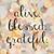 Holly Kuhn Curwen's profile image