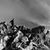 Chris Blauvelt's profile image