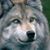 Grey Wolf's profile image