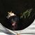 Bella McDee's profile image