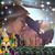Claudia Fernandez Navarro's profile image
