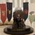 Debbie Shaw Smith's profile image
