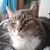 Cathal Carr's profile image
