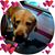 Joan Schrock's profile image