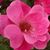 Dena K. Greenway's profile image
