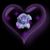 Jane Kline's profile image