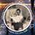 Joann Wade Tignor's profile image