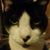Della Moore's profile image