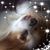 Kristen Lofgren's profile image