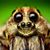 John Sayre's profile image