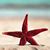 Lynn Eickhoff's profile image