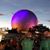 Sue Sahm Starrick's profile image