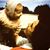 Laura Stewart Noell's profile image