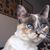 Maureen Rogalla Bricker's profile image