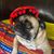 Lynda Reeder's profile image