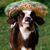Dawn Maria Liston's profile image