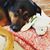 Paul Matthew Brown's profile image
