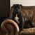 Lisa Cupples's profile image