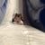 Diane Borden's profile image