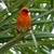 Janice Abberline's profile image