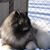 Candy Vetter's profile image