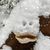 Stacie A Cline's profile image