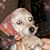 Minda Spence's profile image