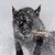 Randy Martin's profile image